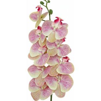 Haste De Orquidea 3D Diversas Cores