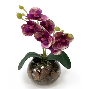 MINI ORQUIDEA FUCSIA