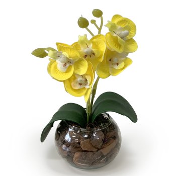 MINI ORQUIDEA AMARELA