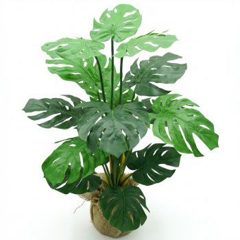 Planta Costela de Adão 90cm c/ 15Hastes