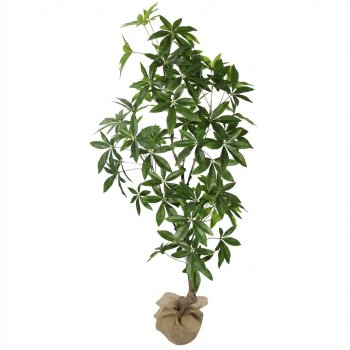 Planta Permanente Árvore Ornamental 150cm