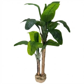 Planta Permanente Árvore Bananeira 160cm
